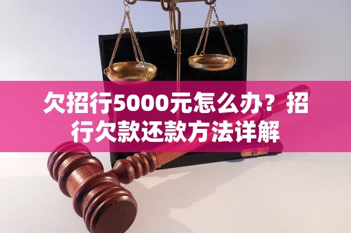 欠招行5000元怎么办？招行欠款还款方法详解