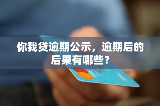 你我贷逾期公示，逾期后的后果有哪些？