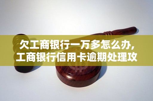 欠工商银行一万多怎么办,工商银行信用卡逾期处理攻略