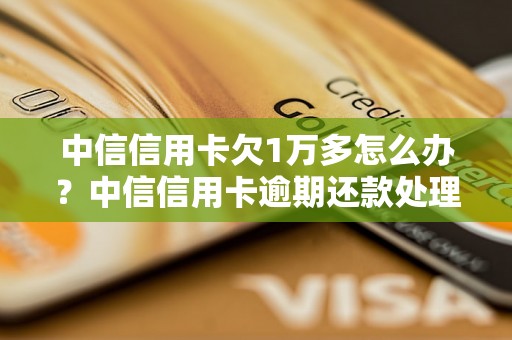 中信信用卡欠1万多怎么办？中信信用卡逾期还款处理攻略