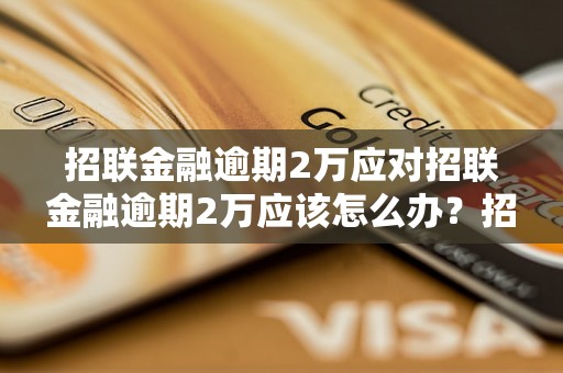 招联金融逾期2万应对招联金融逾期2万应该怎么办？招联金融逾期2万处理方法详解