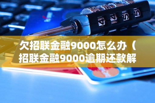 欠招联金融9000怎么办（招联金融9000逾期还款解决方法）