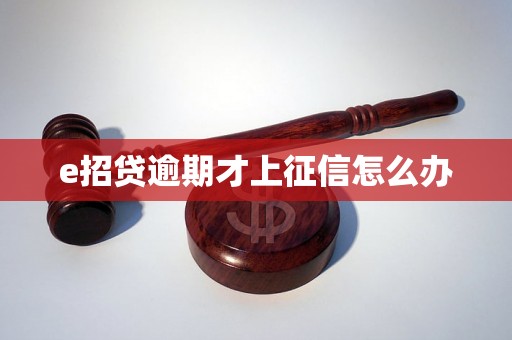 e招贷逾期才上征信怎么办