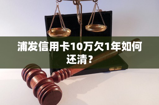 浦发信用卡10万欠1年如何还清？