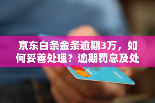 京东白条金条逾期3万，如何妥善处理？逾期罚息及处罚详解