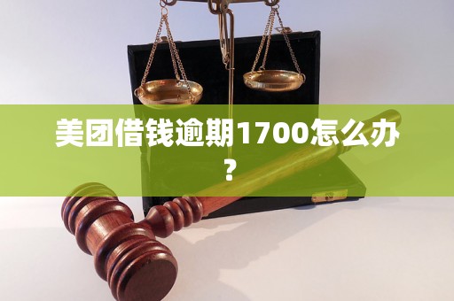 美团借钱逾期1700怎么办？