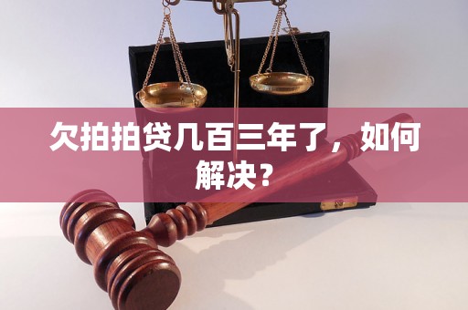 欠拍拍贷几百三年了，如何解决？