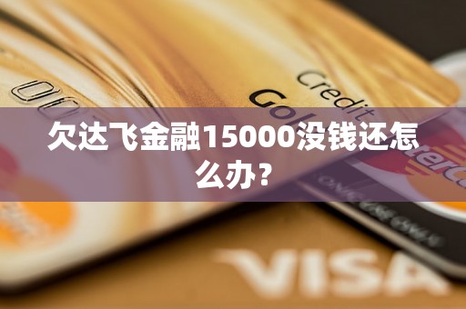 欠达飞金融15000没钱还怎么办？