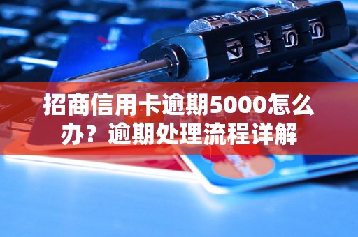 招商信用卡逾期5000怎么办？逾期处理流程详解