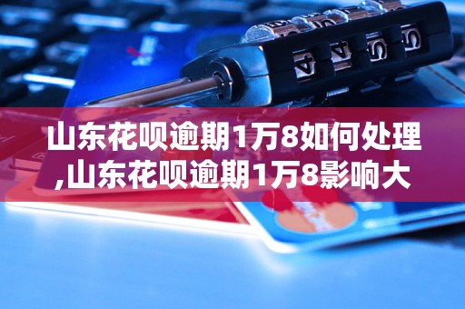 山东花呗逾期1万8如何处理,山东花呗逾期1万8影响大吗