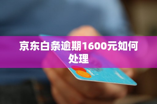 京东白条逾期1600元如何处理