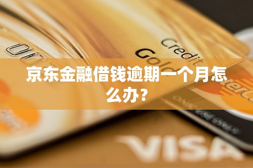 京东金融借钱逾期一个月怎么办？