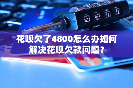 花呗欠了4800怎么办如何解决花呗欠款问题？