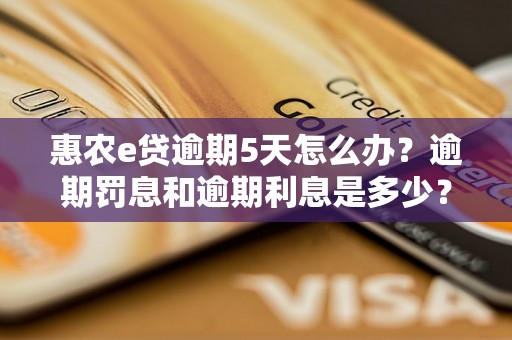 惠农e贷逾期5天怎么办？逾期罚息和逾期利息是多少？