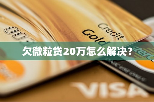 欠微粒贷20万怎么解决？