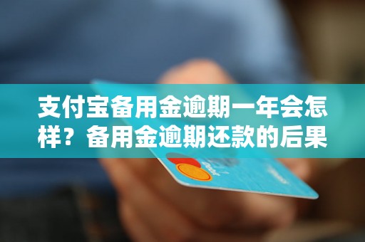 支付宝备用金逾期一年会怎样？备用金逾期还款的后果分析