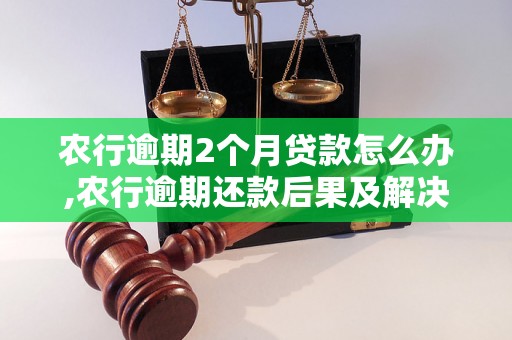 农行逾期2个月贷款怎么办,农行逾期还款后果及解决方案