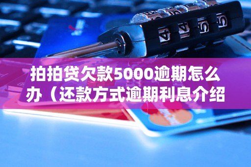 拍拍贷欠款5000逾期怎么办（还款方式逾期利息介绍）