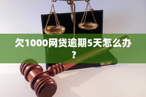 欠1000网贷逾期5天怎么办？