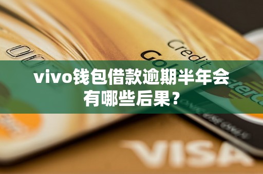 vivo钱包借款逾期半年会有哪些后果？