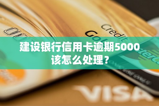 建设银行信用卡逾期5000该怎么处理？