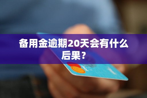 备用金逾期20天会有什么后果？