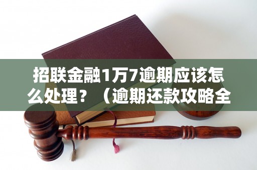 招联金融1万7逾期应该怎么处理？（逾期还款攻略全解析）