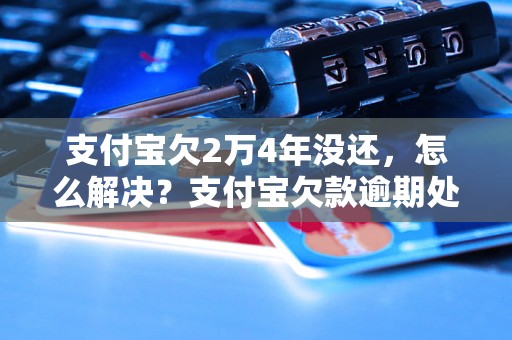 支付宝欠2万4年没还，怎么解决？支付宝欠款逾期处理方法