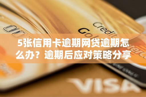 5张信用卡逾期网贷逾期怎么办？逾期后应对策略分享