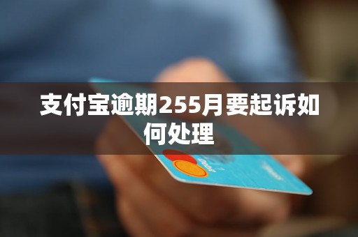 支付宝逾期255月要起诉如何处理