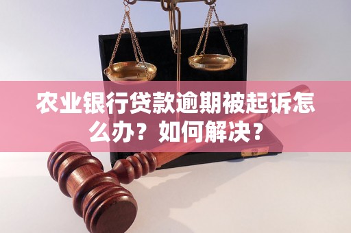 农业银行贷款逾期被起诉怎么办？如何解决？