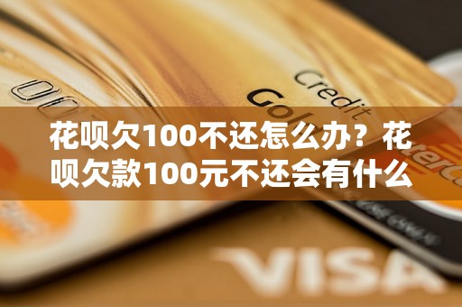 花呗欠100不还怎么办？花呗欠款100元不还会有什么后果？