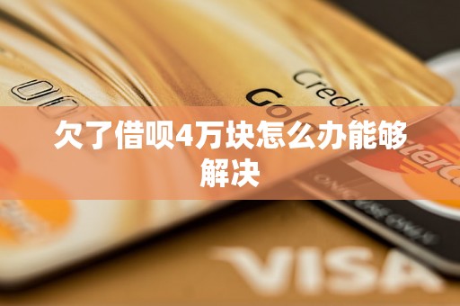 欠了借呗4万块怎么办能够解决