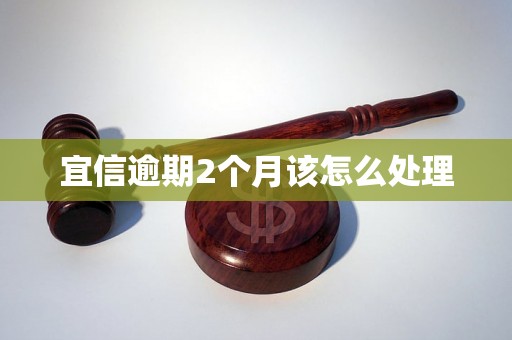 宜信逾期2个月该怎么处理