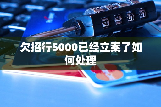 欠招行5000已经立案了如何处理