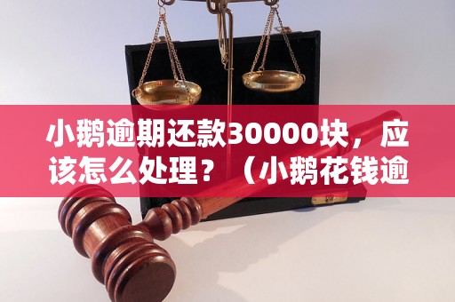 小鹅逾期还款30000块，应该怎么处理？（小鹅花钱逾期借款后果解析）