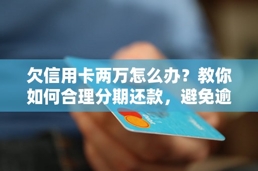 欠信用卡两万怎么办？教你如何合理分期还款，避免逾期罚息和征信影响