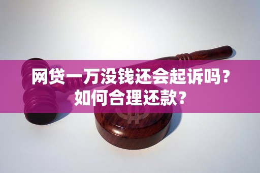 网贷一万没钱还会起诉吗？如何合理还款？