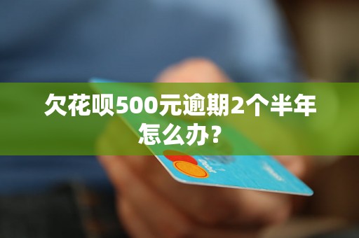 欠花呗500元逾期2个半年怎么办？