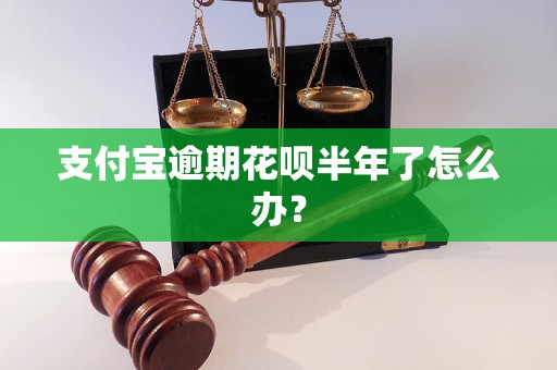 支付宝逾期花呗半年了怎么办？