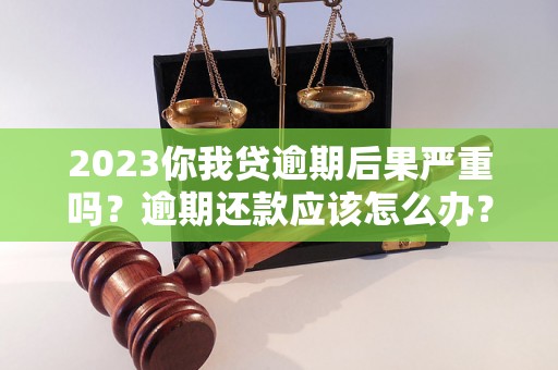 2023你我贷逾期后果严重吗？逾期还款应该怎么办？