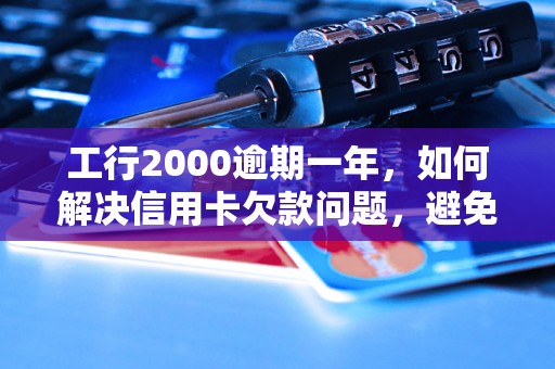 工行2000逾期一年，如何解决信用卡欠款问题，避免信用记录受损