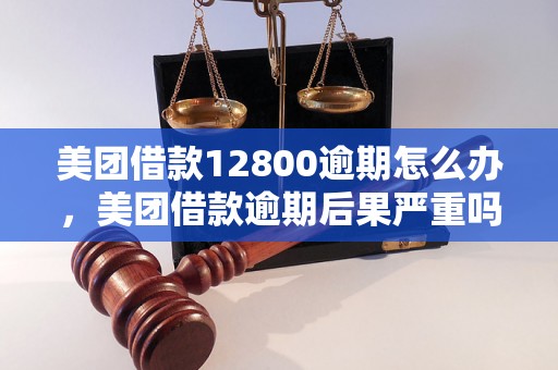 美团借款12800逾期怎么办，美团借款逾期后果严重吗