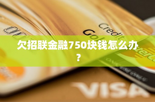 欠招联金融750块钱怎么办？