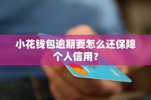 小花钱包逾期要怎么还保障个人信用？