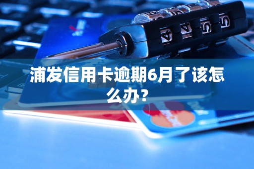 浦发信用卡逾期6月了该怎么办？