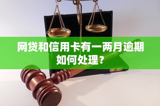 网贷和信用卡有一两月逾期如何处理？