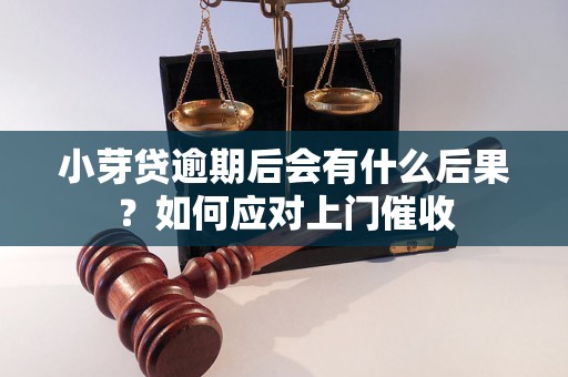 小芽贷逾期后会有什么后果？如何应对上门催收