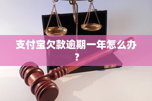 支付宝欠款逾期一年怎么办？