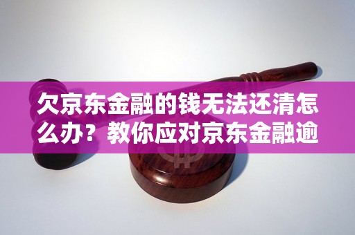 欠京东金融的钱无法还清怎么办？教你应对京东金融逾期还款